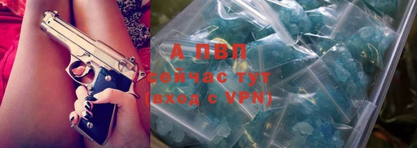 ПСИЛОЦИБИНОВЫЕ ГРИБЫ Белокуриха