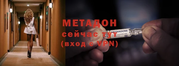 ПСИЛОЦИБИНОВЫЕ ГРИБЫ Белокуриха