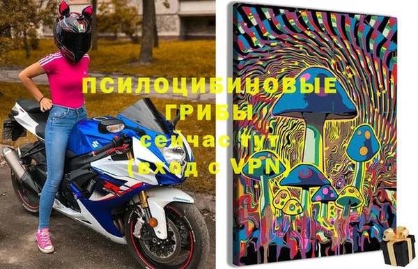 ПСИЛОЦИБИНОВЫЕ ГРИБЫ Белокуриха