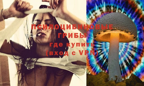 мдпв Беломорск