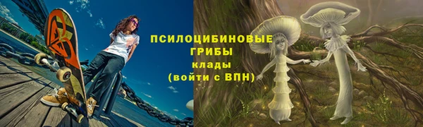 ПСИЛОЦИБИНОВЫЕ ГРИБЫ Белокуриха