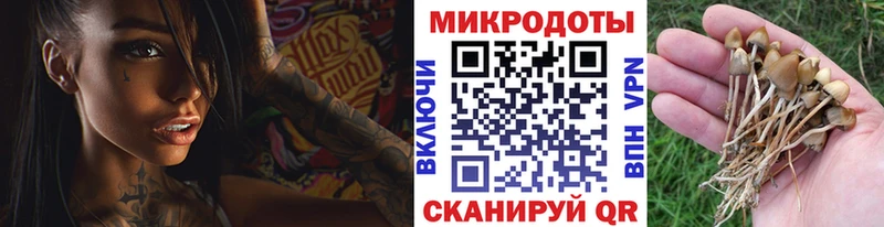 Купить  Белогорск  Галлюциногенные грибы GOLDEN TEACHER 